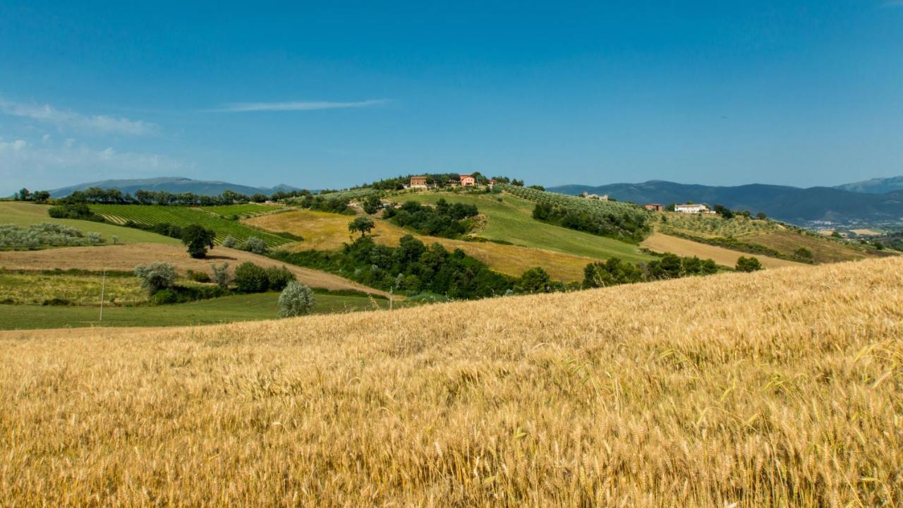 Agriturismo Rivoli Villa Spoleto Exterior photo